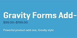 Gravity Forms Add-Ons
